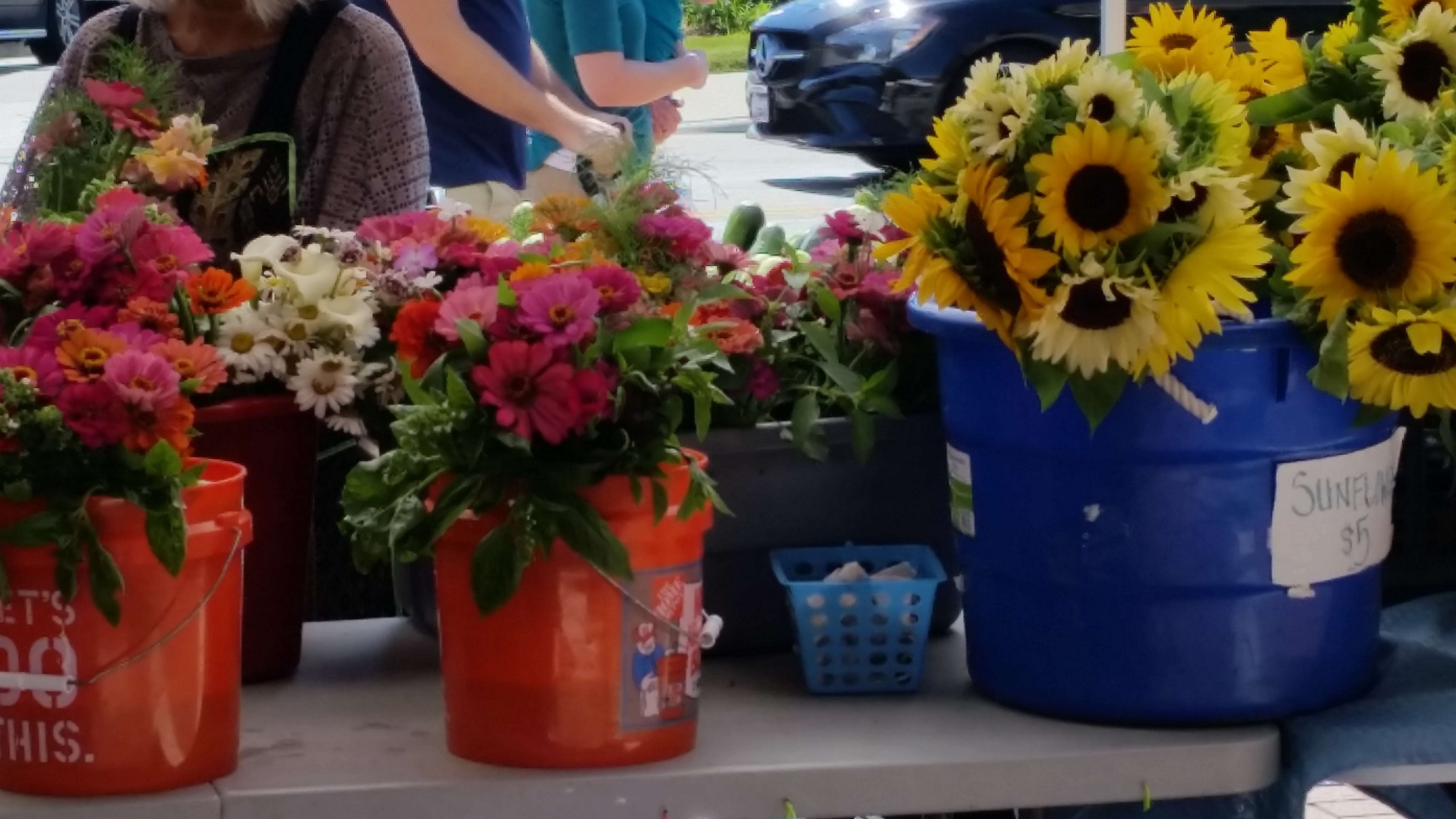 Canal Winchester Farmers Market